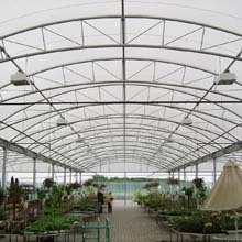 polycarbonate sheet